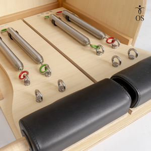 Back view of the Maple Timber Chair highlighting the spring attachment points and natural light wood grain.